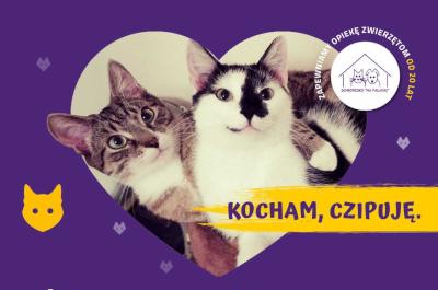 Darmowe czipowanie kotów na Ochocie